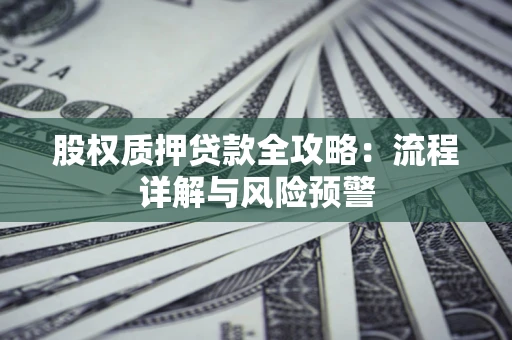 北京股权质押贷款全攻略：流程详解与风险预警