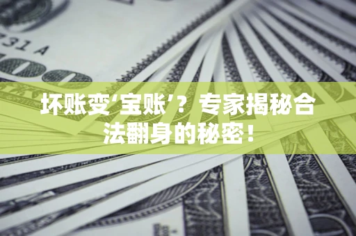 北京坏账变‘宝账’？专家揭秘合法翻身的秘密！