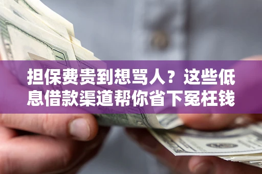 北京担保费贵到想骂人？这些低息借款渠道帮你省下冤枉钱