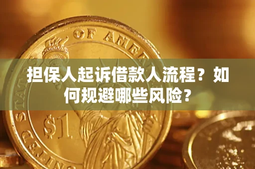 北京担保人起诉借款人流程？如何规避哪些风险？